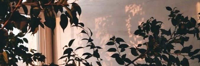 sust_jay's profile banner image