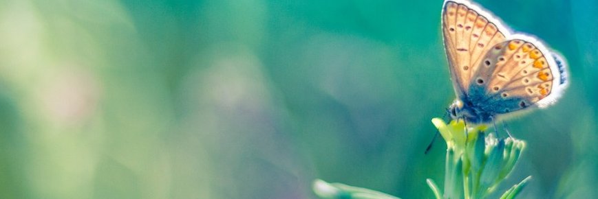 zuzzy2410's profile banner image