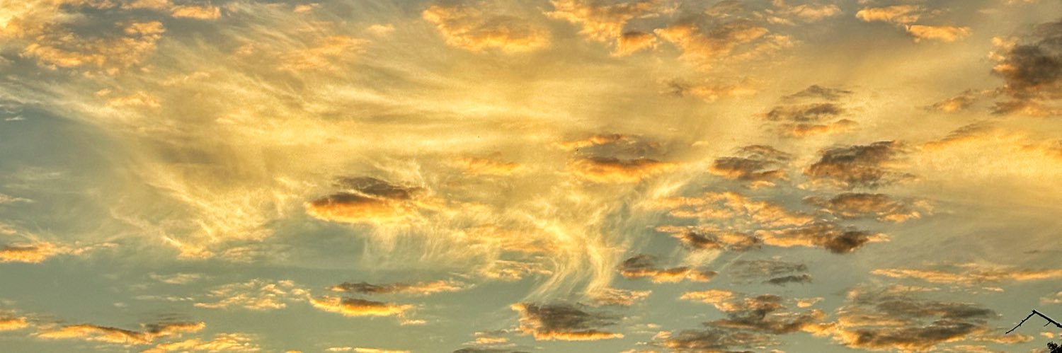 ODomaniczky's profile banner image