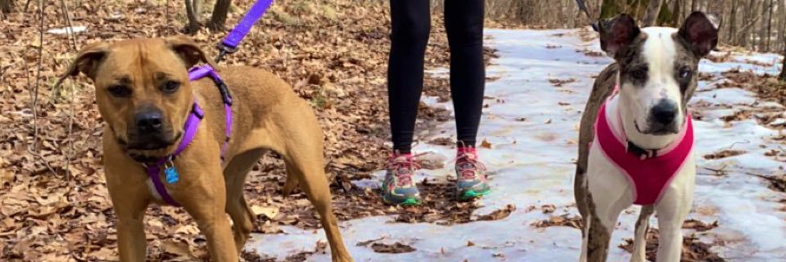 caley_kreger's profile banner image