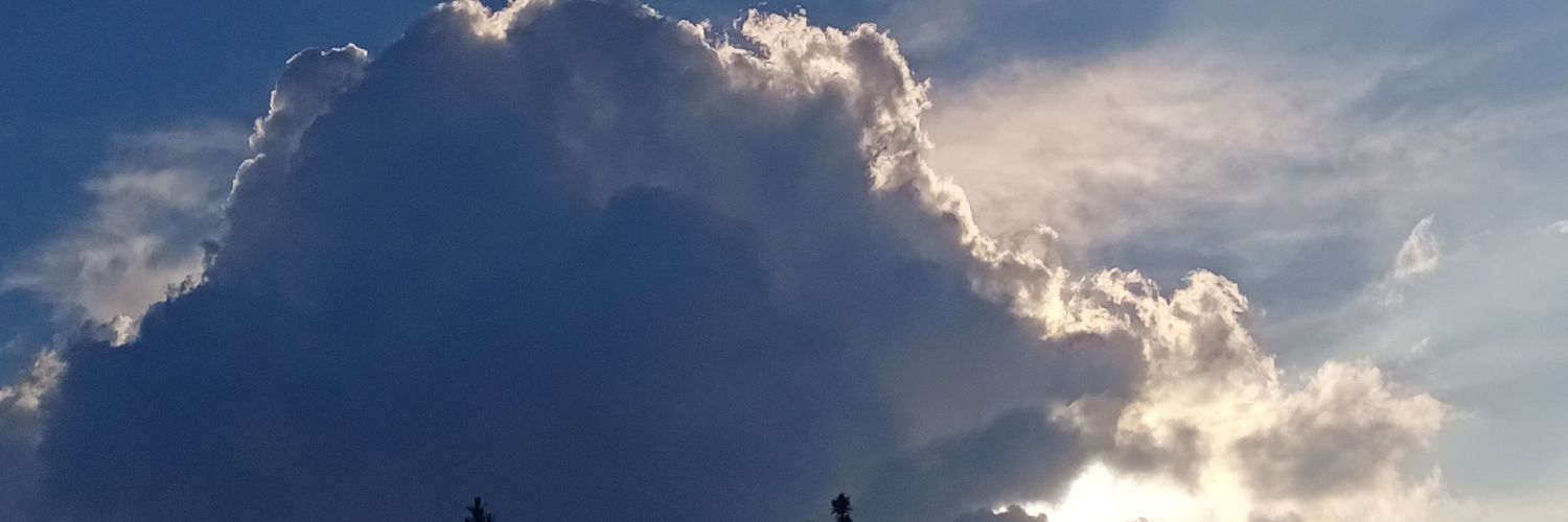 AngelicaOlla's profile banner image