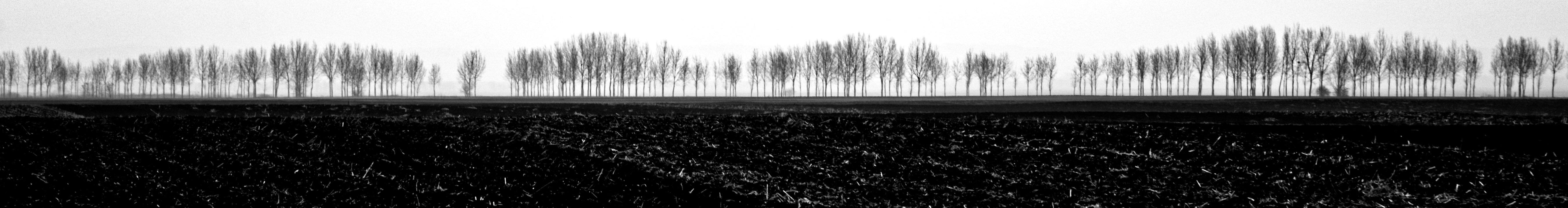 BioSense Institute banner