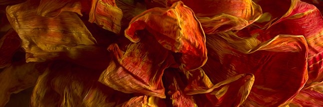 intense_curious's profile banner image