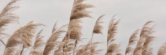 sandsndy's profile banner image