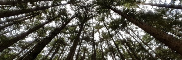 laur_mackay Profile Banner