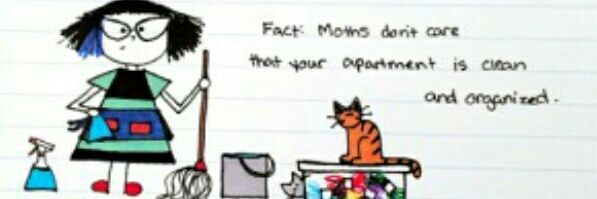 Epermenia Moth 🇮🇱 banner