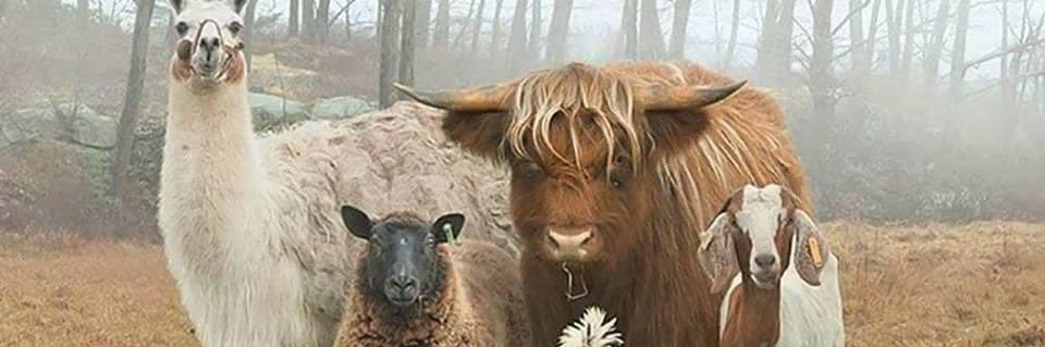 Freedom of Species banner