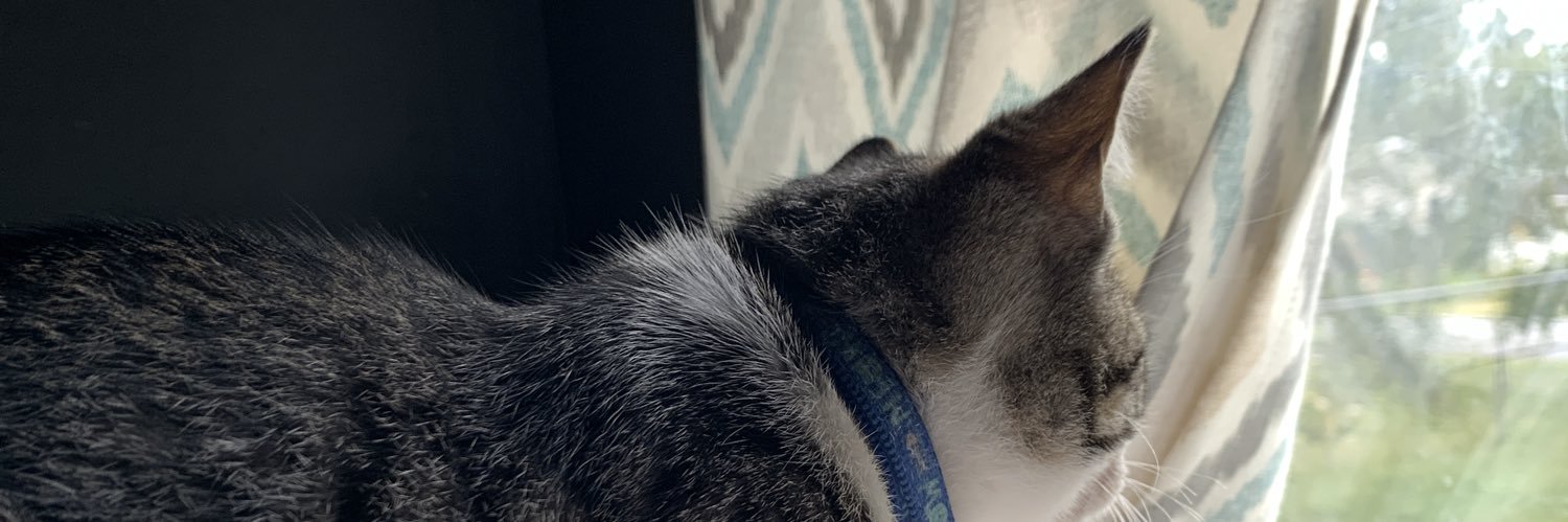 diarysmut's profile banner image