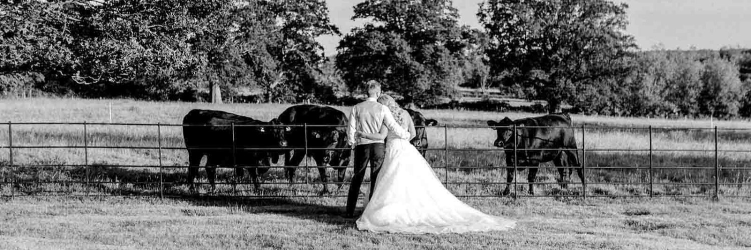 Laura_JanePhoto's profile banner image