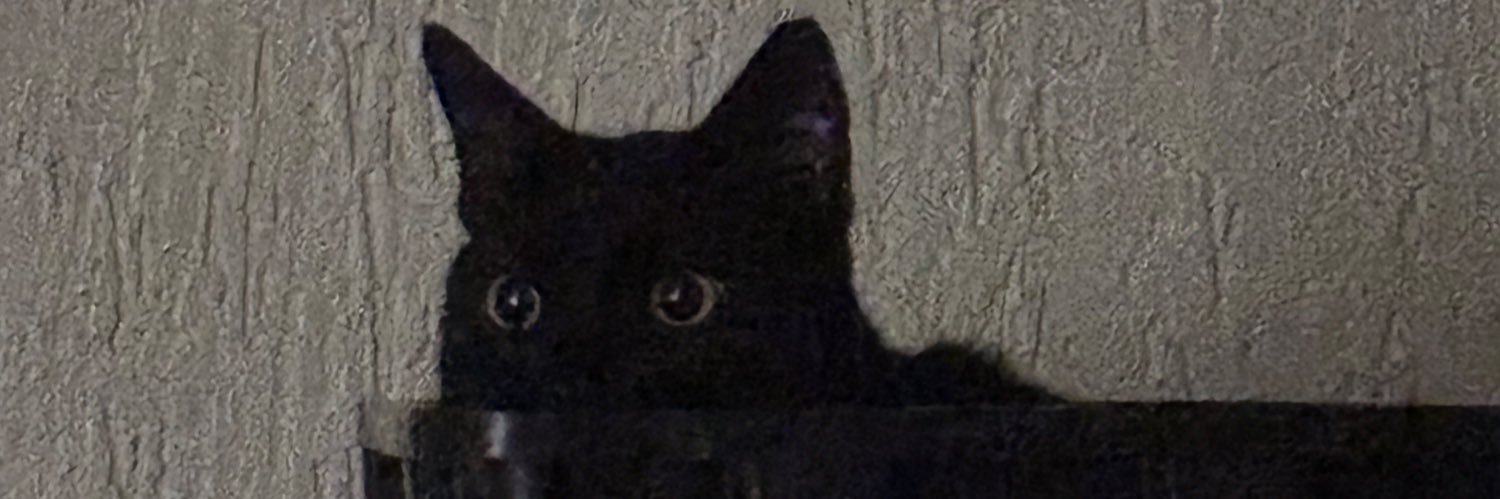 sznatzz's profile banner image