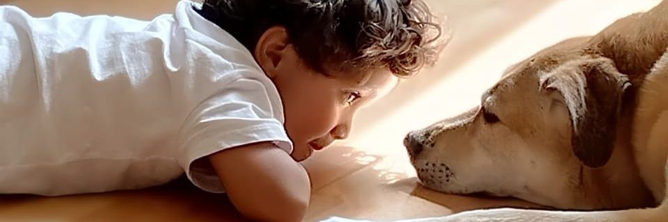 robops1985's profile banner image