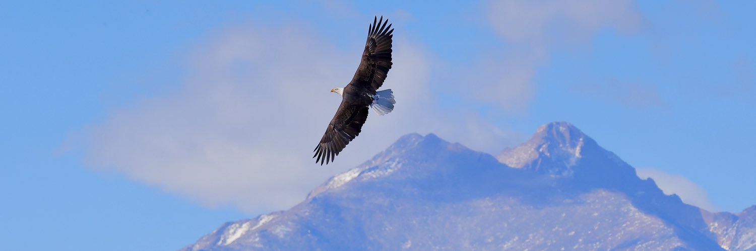 Denis D Dunathan banner