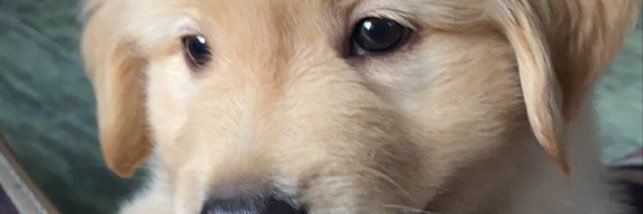 prettyMullan's profile banner image