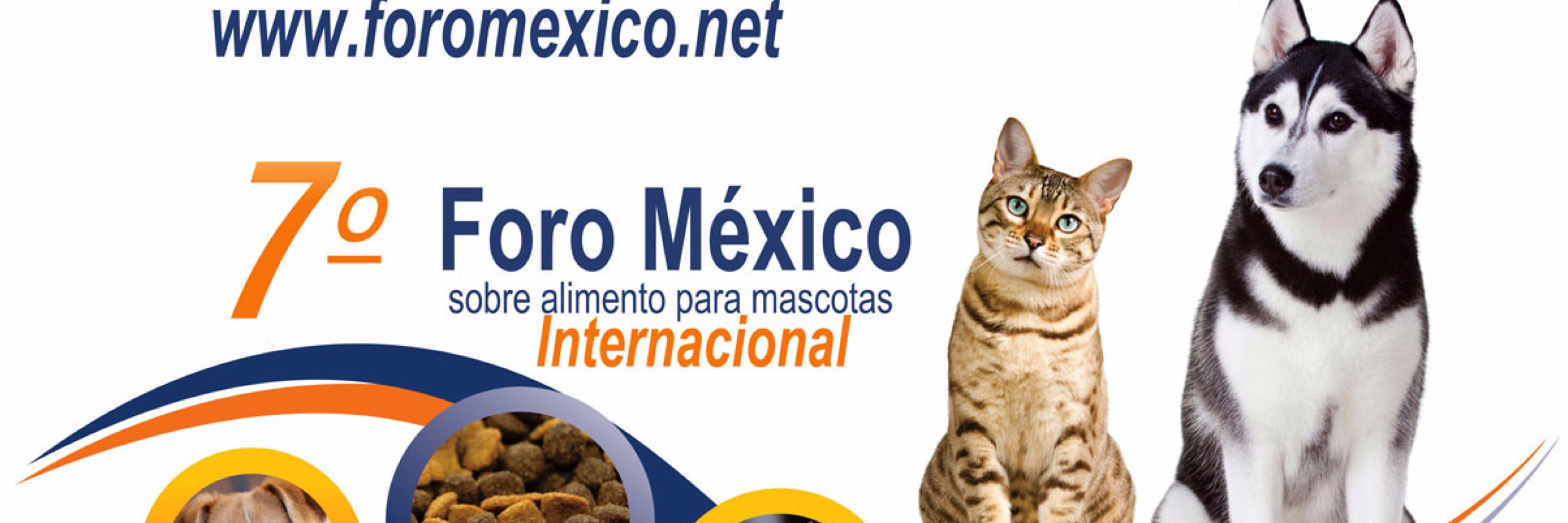 ForoMexico1's profile banner image