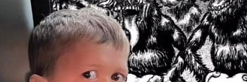 D_Polna's profile banner image