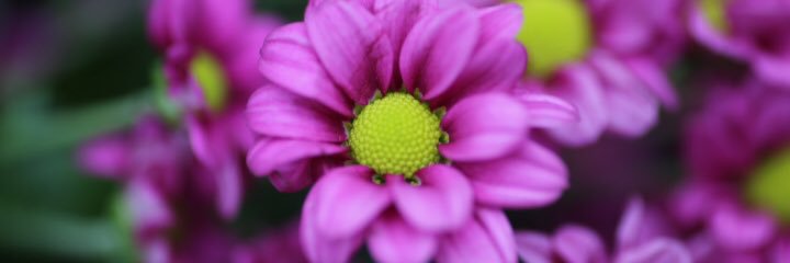 AD_AFRA's profile banner image
