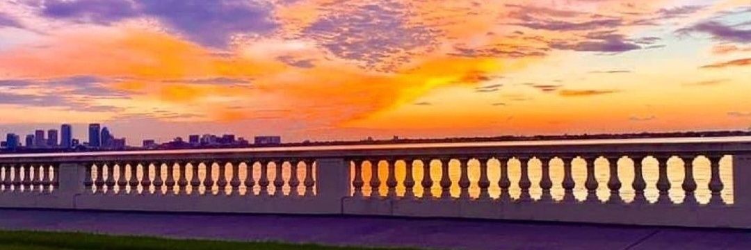 DJRose95's profile banner image