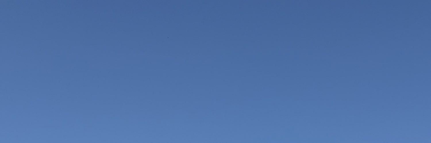 bollockscastor's profile banner image