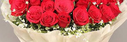 relation_shipo's profile banner image