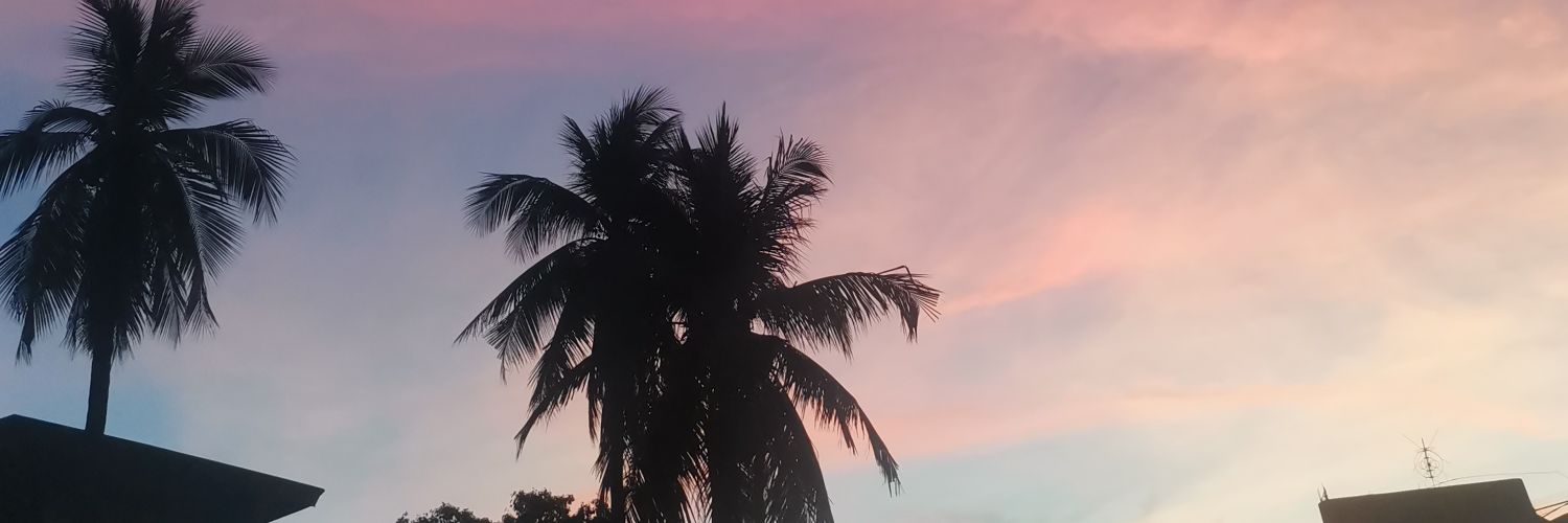diyona__'s profile banner image