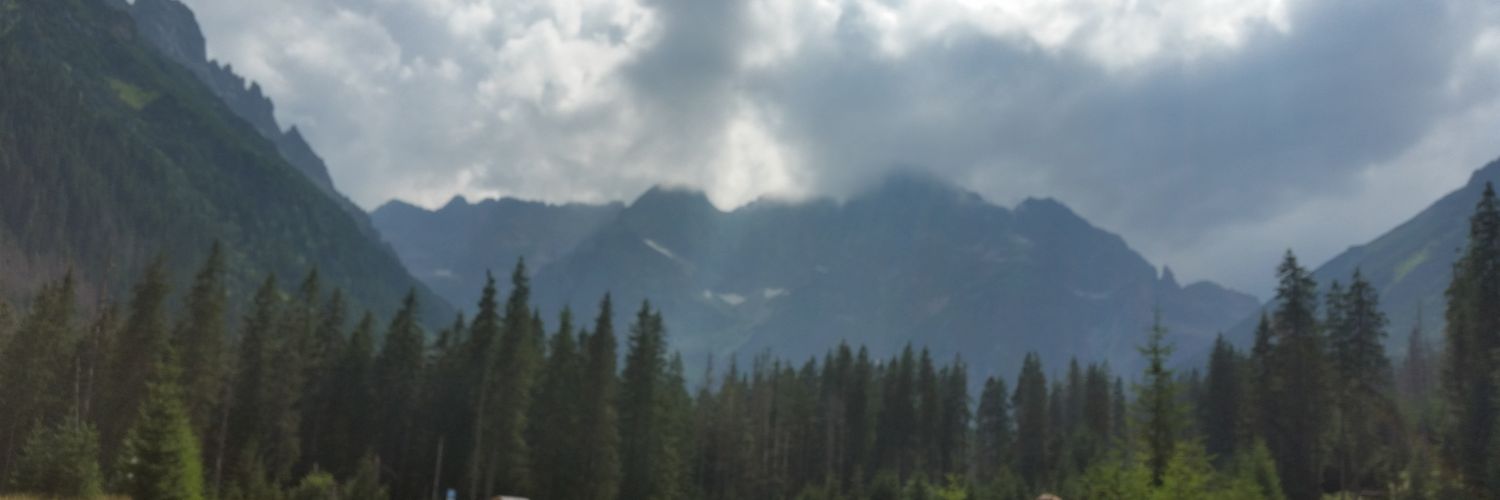 Mysz81's profile banner image