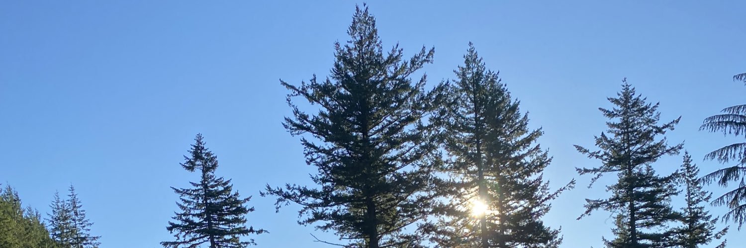 honerbrian1's profile banner image