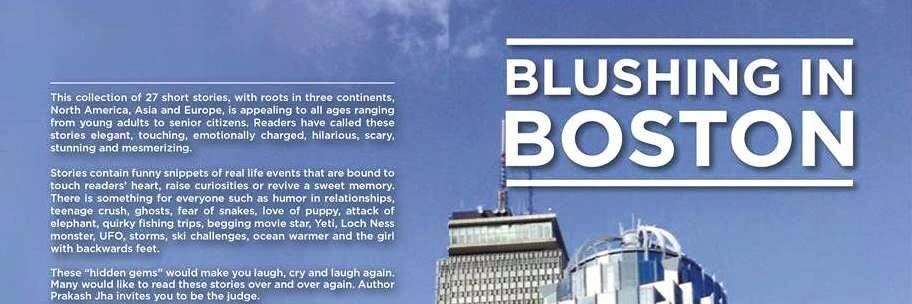 BlushingBoston's profile banner image