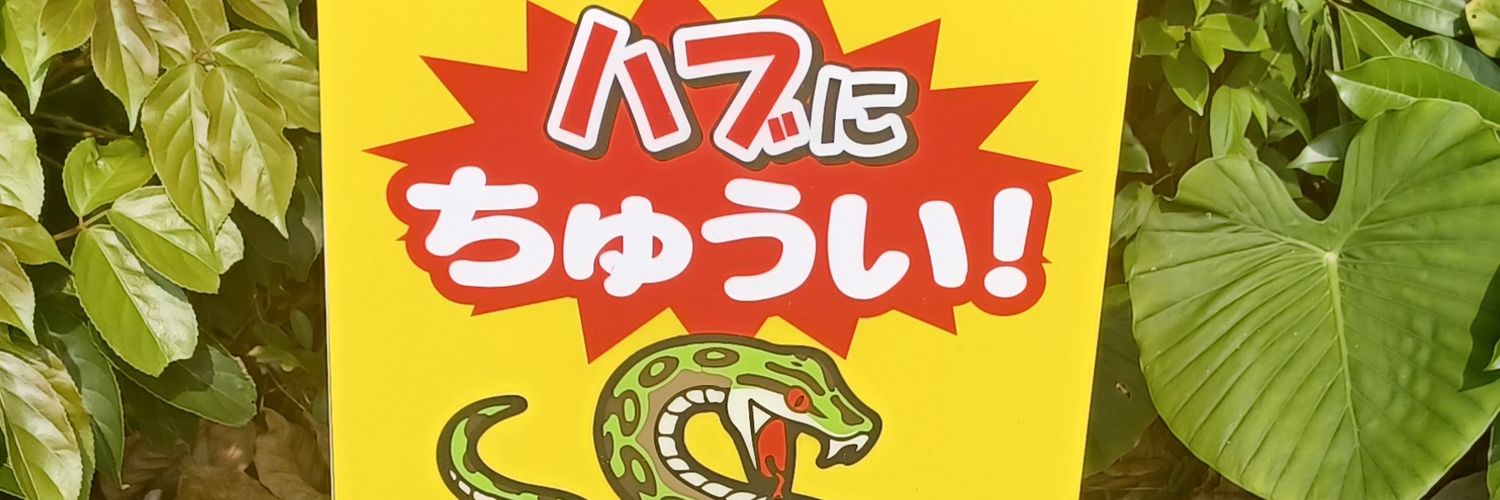 kumejun's profile banner image