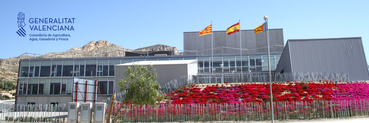 DO Jijona y Alicante banner