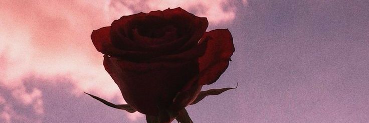 abrilnbv's profile banner image