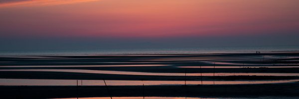 makotomatic Profile Banner