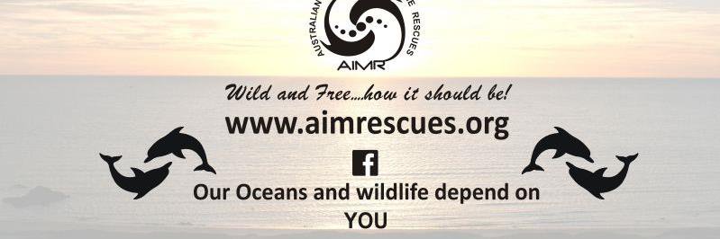 AIMRwildfree's profile banner image