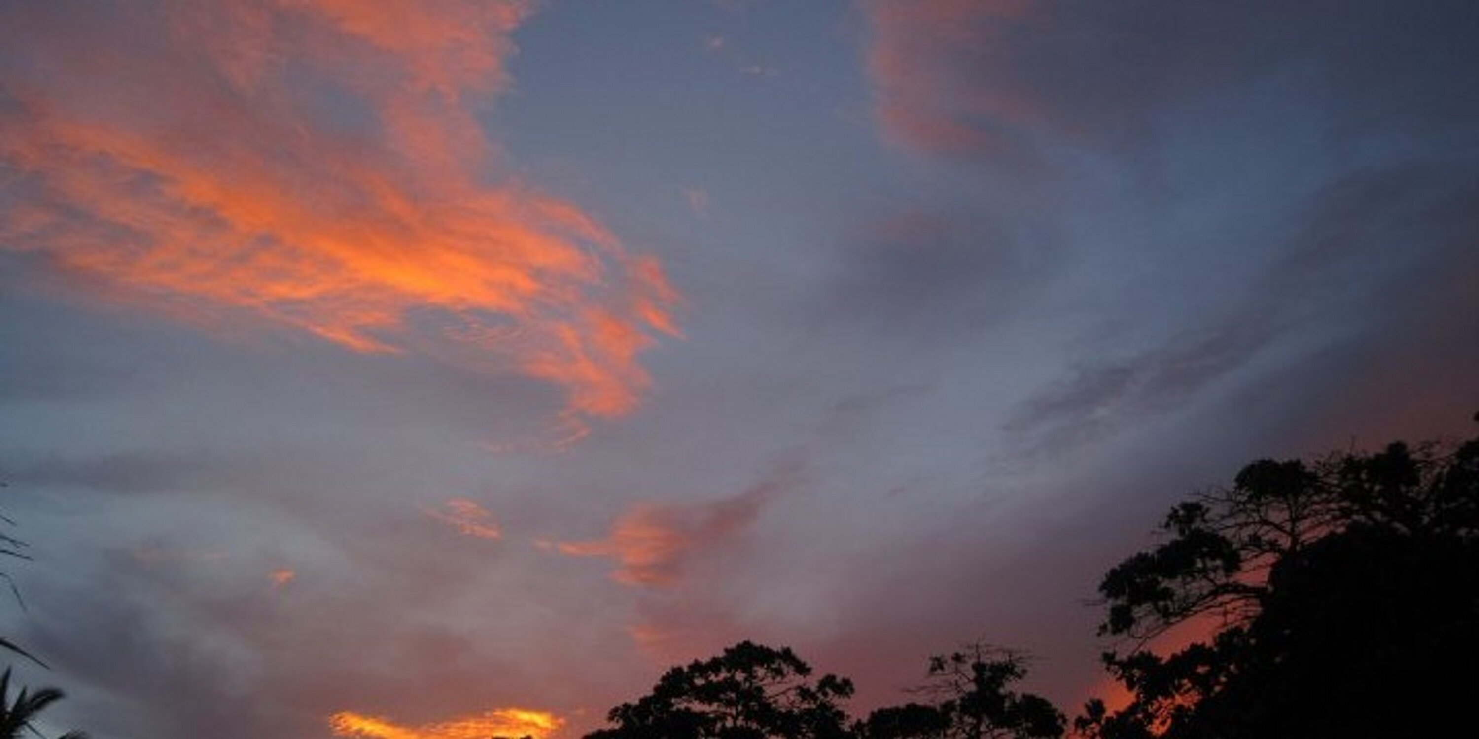 AMidilloHJ's profile banner image