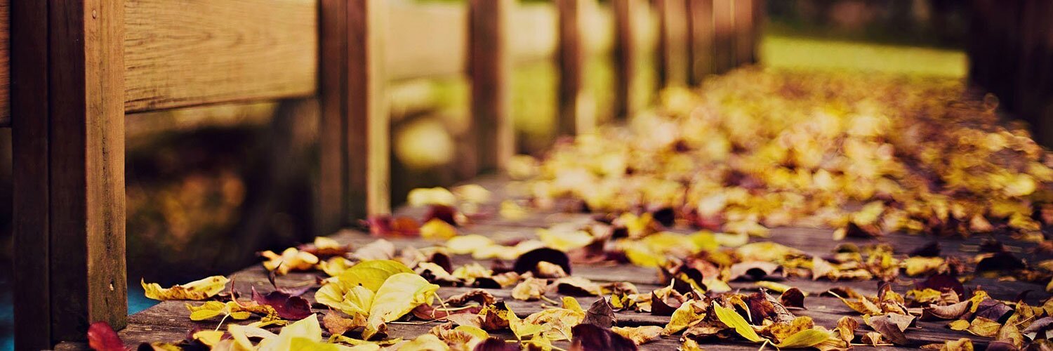 funtober's profile banner image