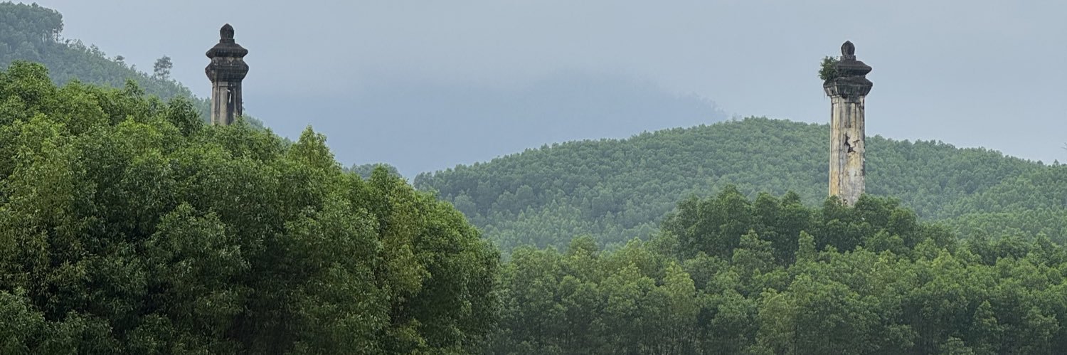 morrislolly's profile banner image
