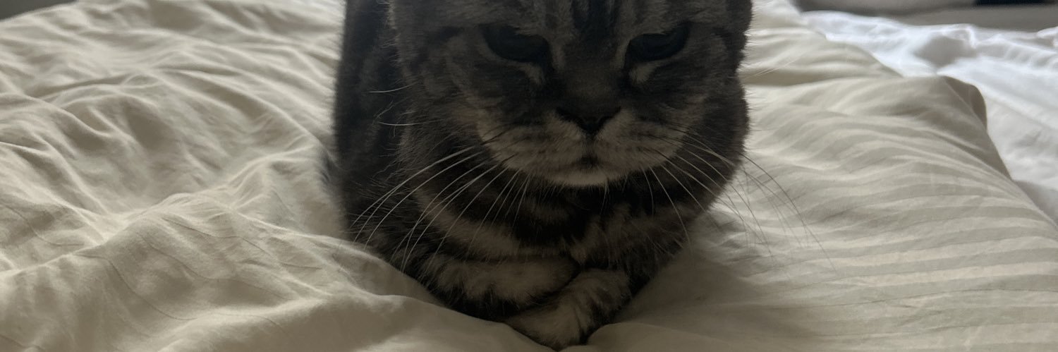 chxrlxttxwx's profile banner image