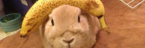 sidechick77's profile banner image