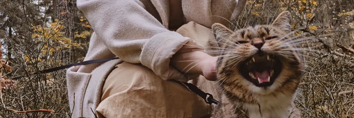 TomikD's profile banner image