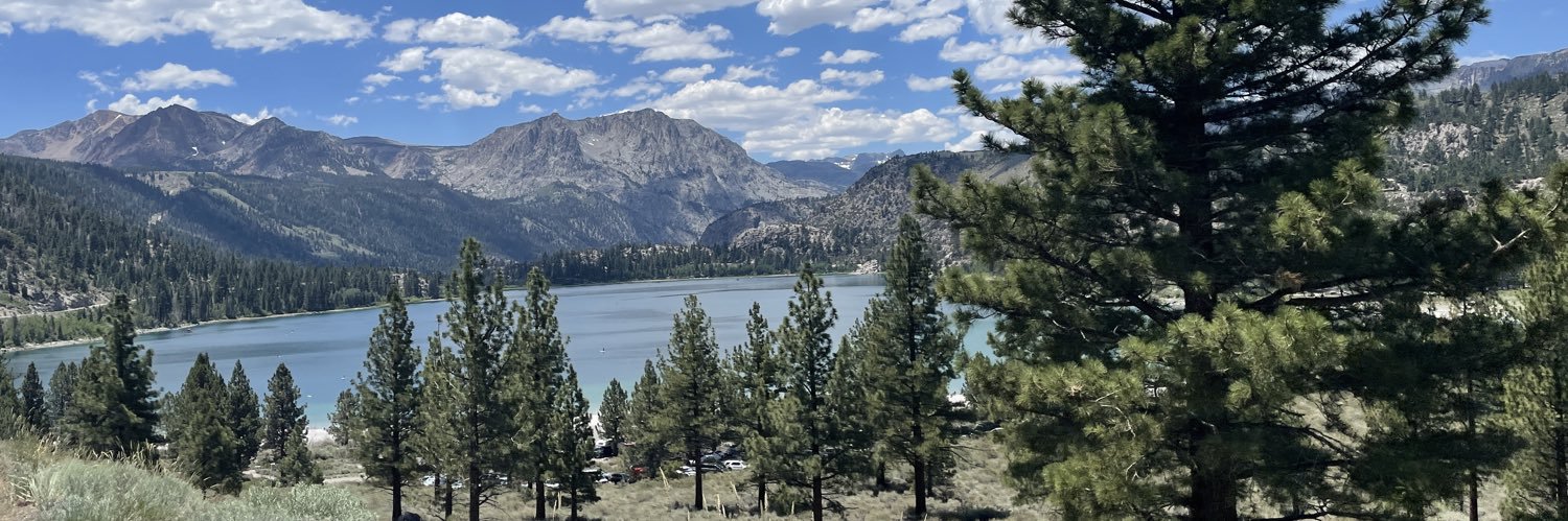 trivia boy🏳️‍🌈🏳️‍⚧️ banner