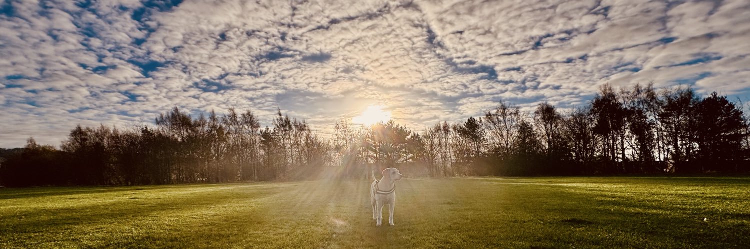 JonzyC2S's profile banner image