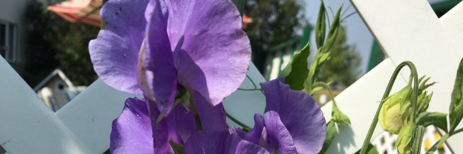 millieah's profile banner image