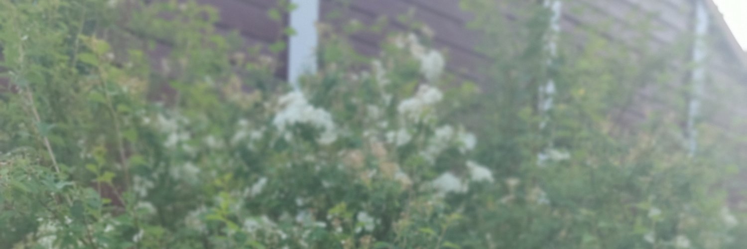 meardley's profile banner image