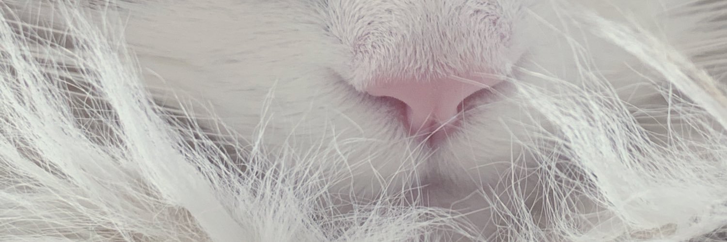 duffleslive's profile banner image