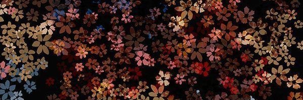 molsabc's profile banner image