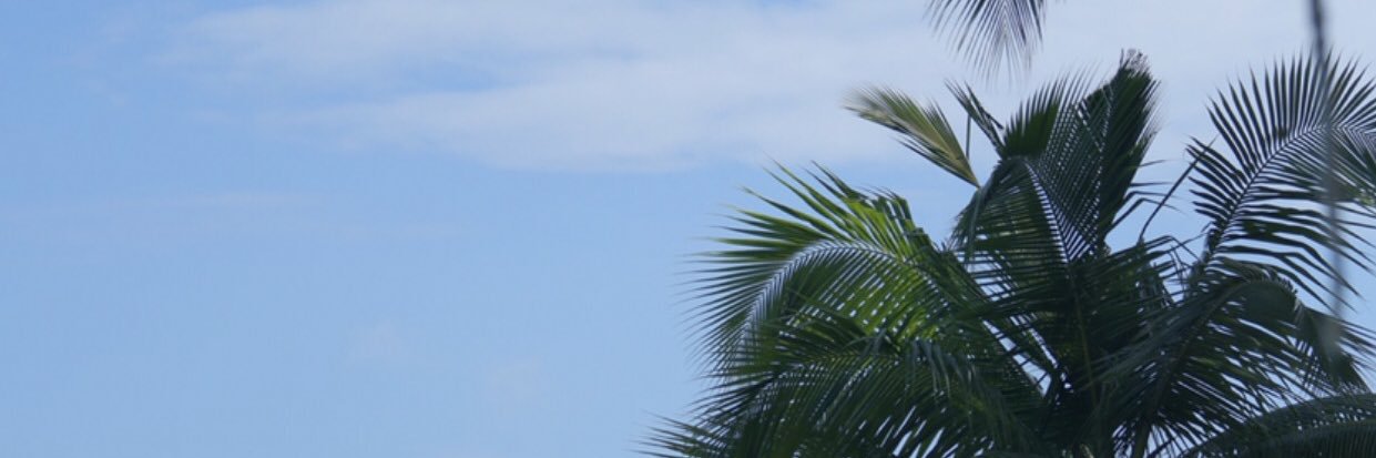 DiMarco29's profile banner image
