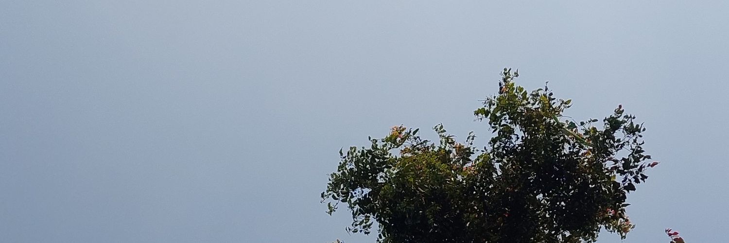 evnevn's profile banner image