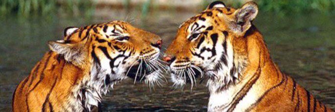 OBU Crush Wall banner