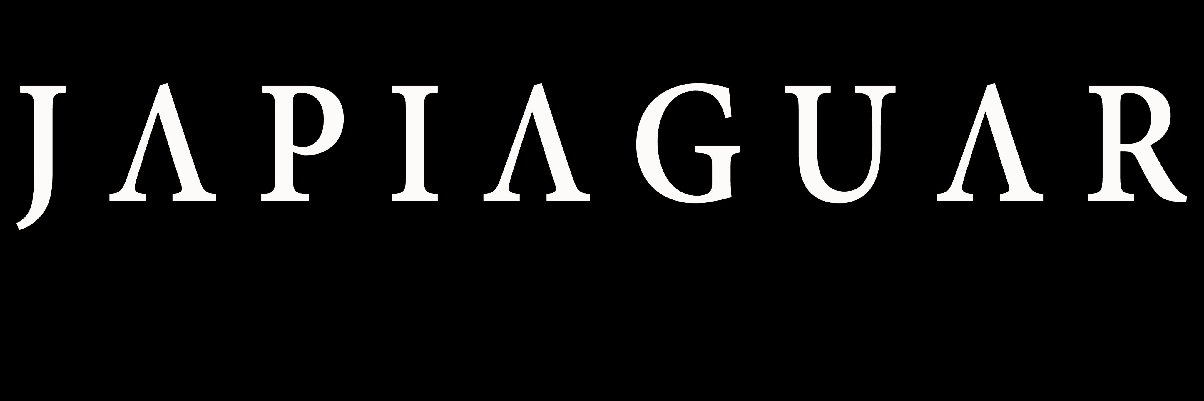 Japiaguarpy's profile banner image