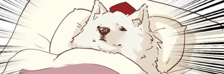 Ytkano's profile banner image