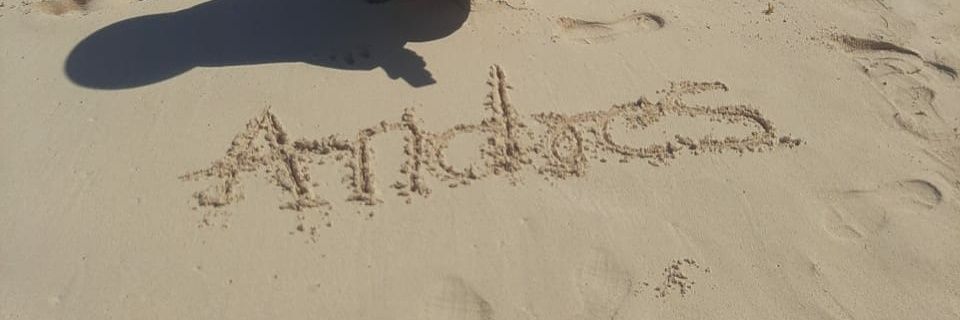 AndresAnguloG's profile banner image